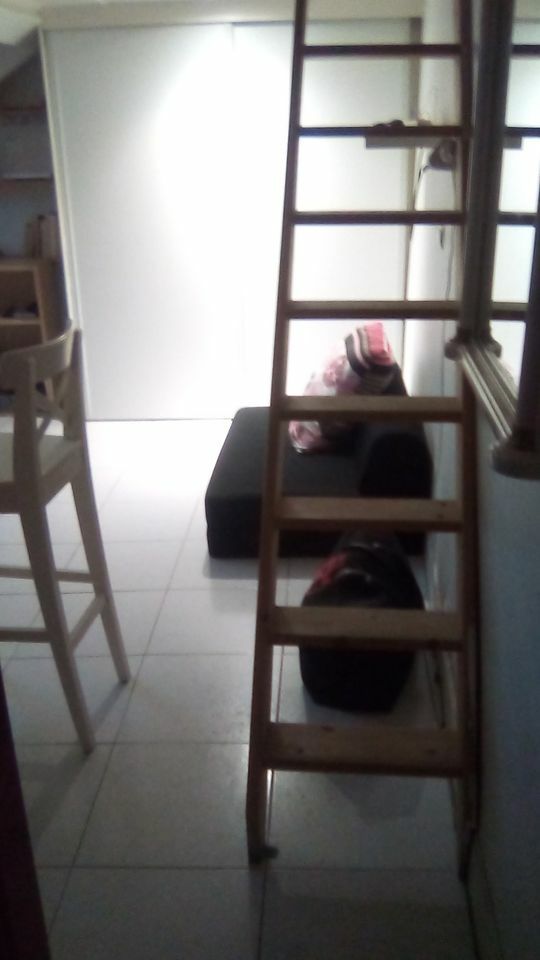 Homestay Paris 242010