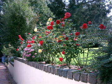 Chambre D'hôte Auneuil 13237-8