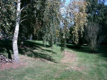 Chambre D'hôte Auneuil 13237-11