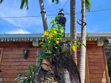 Logement Entier Saint-Paul 461535-9