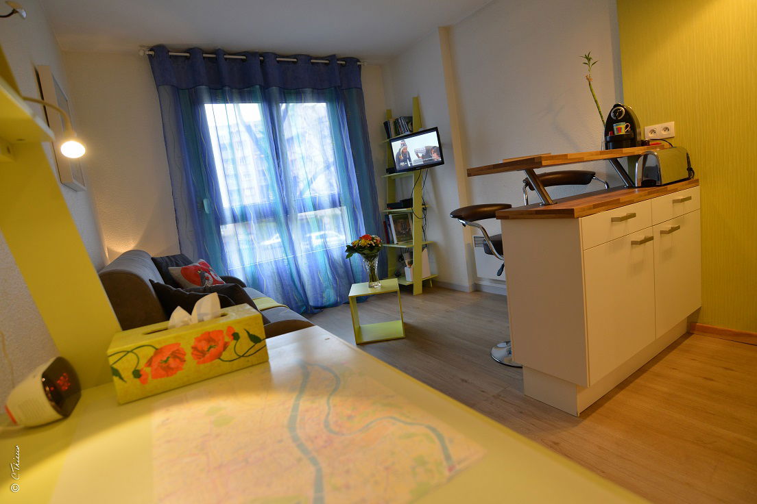 Logement Entier Lyon 513551