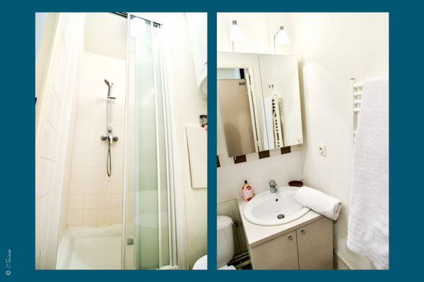 Logement Entier Lyon 513551