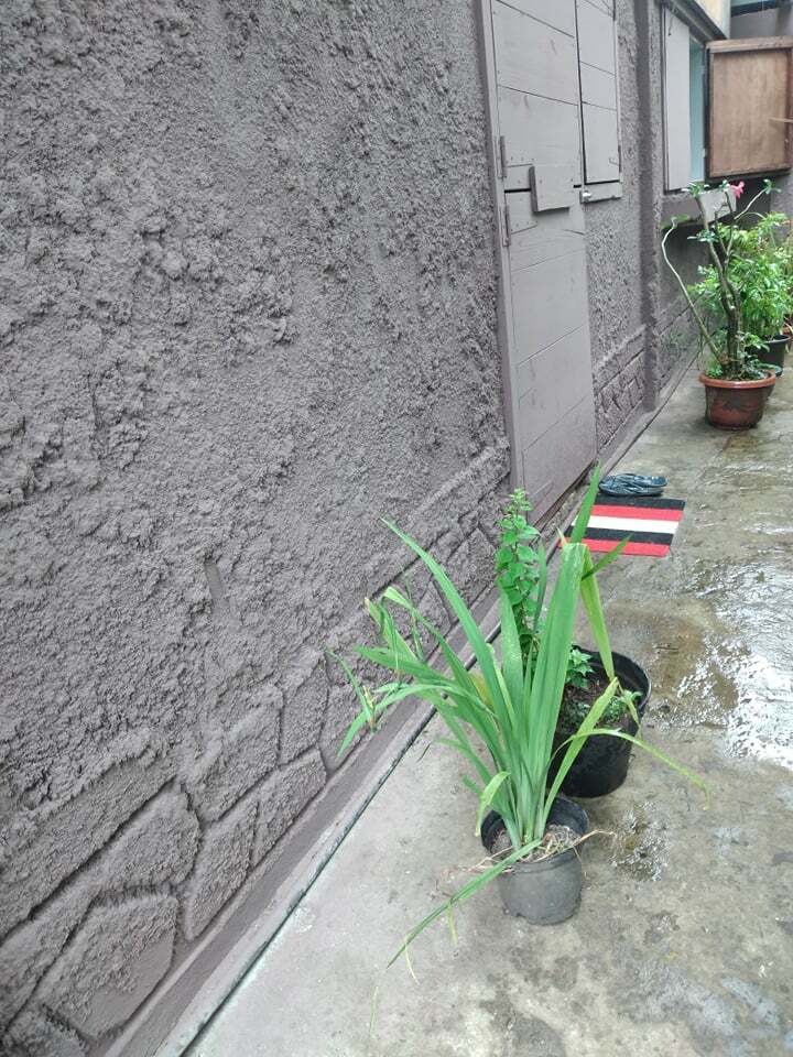 Logement Entier Papeete 255289