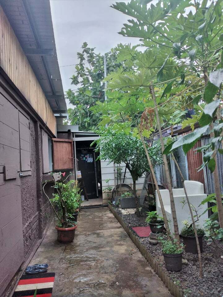 Logement Entier Papeete 255289