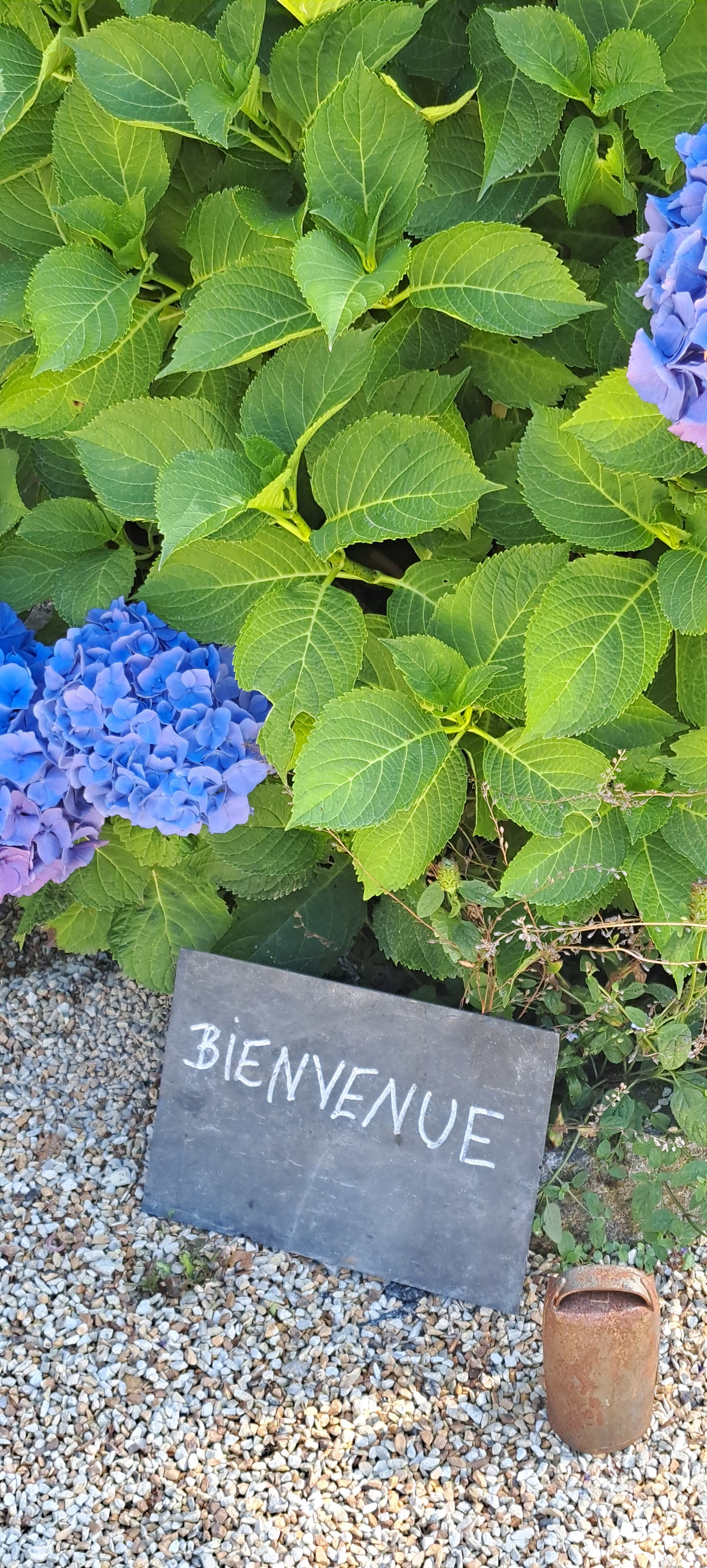 Homestay Plonéour-Lanvern 678326