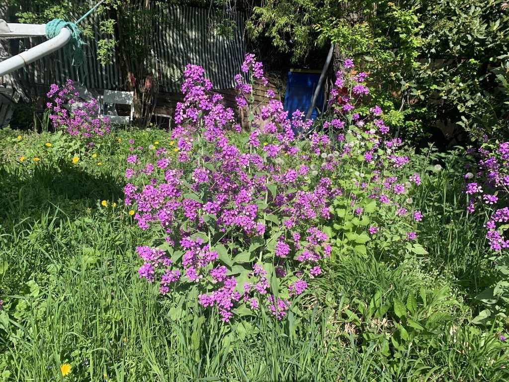 Unabhängiges Studio Ferney-Voltaire 262591