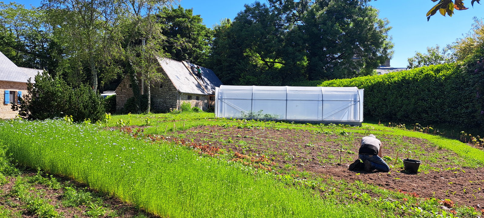 Homestay Plonéour-Lanvern 678326