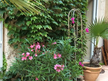 Chambre D'hôte Tassin-La-Demi-Lune 55764-8