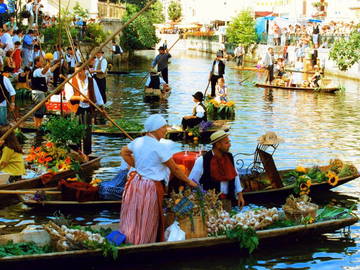 Logement Entier Maubec 254682-11