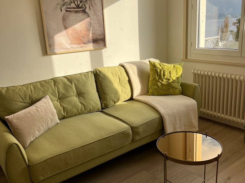 Ganzes Haus Montreux 640925-1