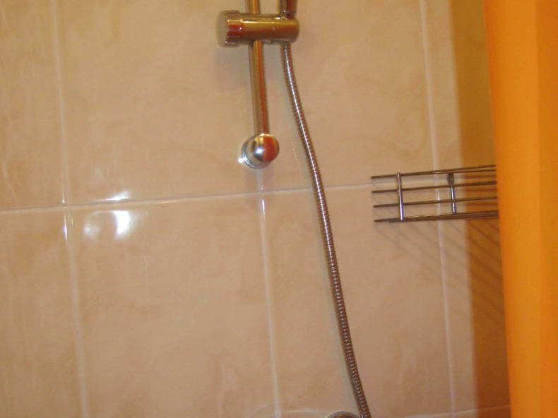 Logement Entier Saint-Maur-des-Fossés 83872-3