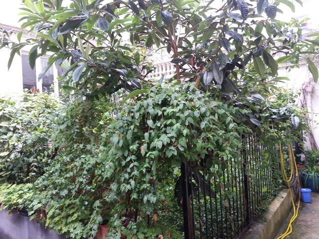 Zakwaterowanie U Rodziny Paris 55455-3