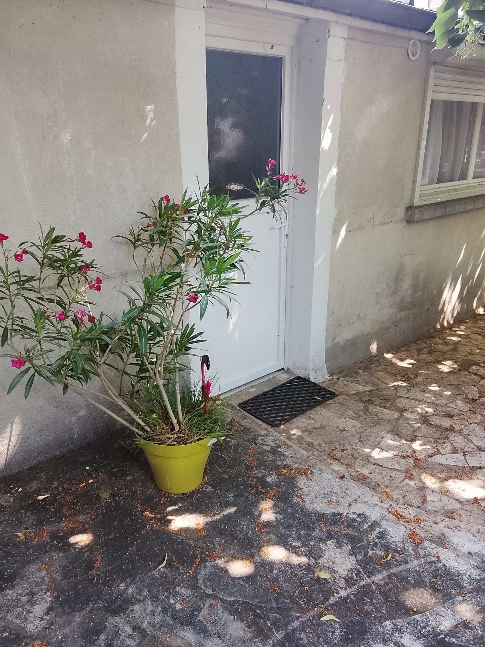 Logement Entier Neuilly-Plaisance 669369