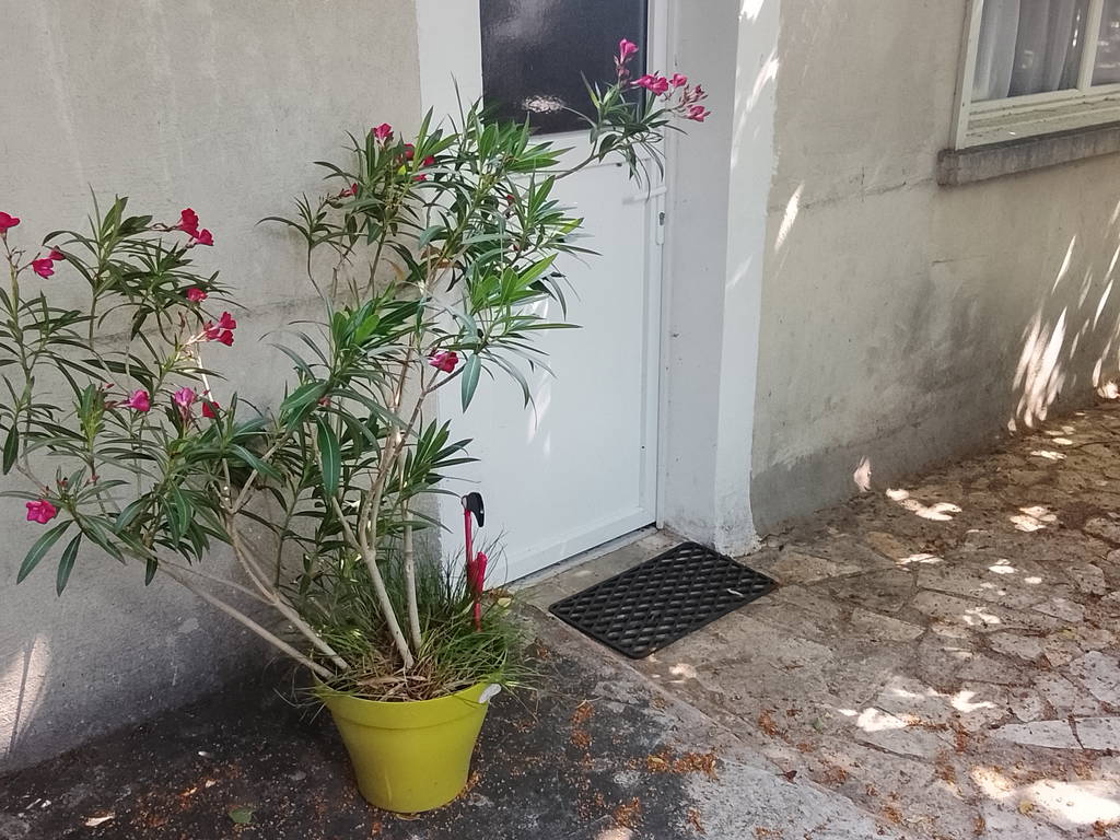 Logement Entier Neuilly-Plaisance 669369-1