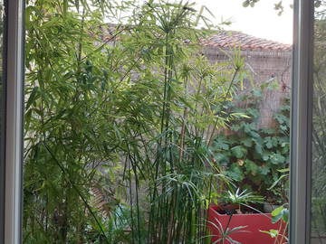 Logement entier à louer à Sète - photo 4 : balcon-4