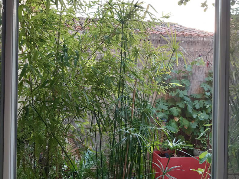 Logement Entier Sète 667270-4