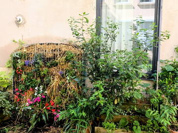 Studio For Rent Lyon 532913