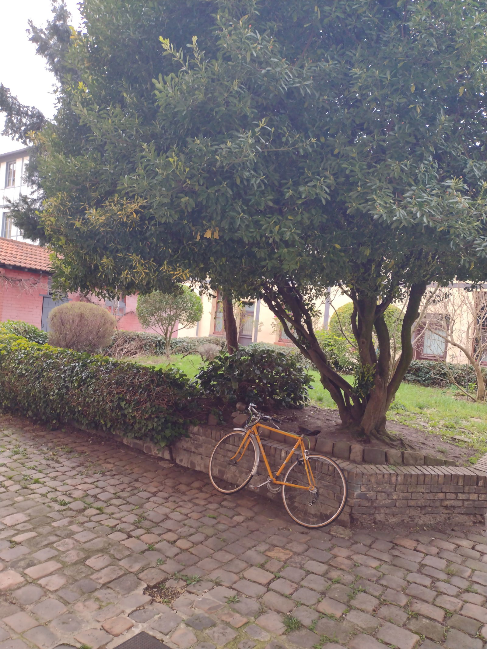 Tutta La Casa Versailles 245709