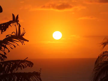 Logement Entier Piton 230708-24