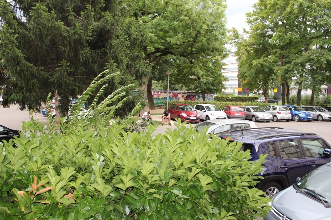 Studio Indépendant Saint-Louis 257816