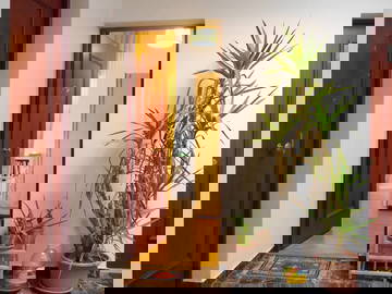 Logement Entier Genève 661849-2