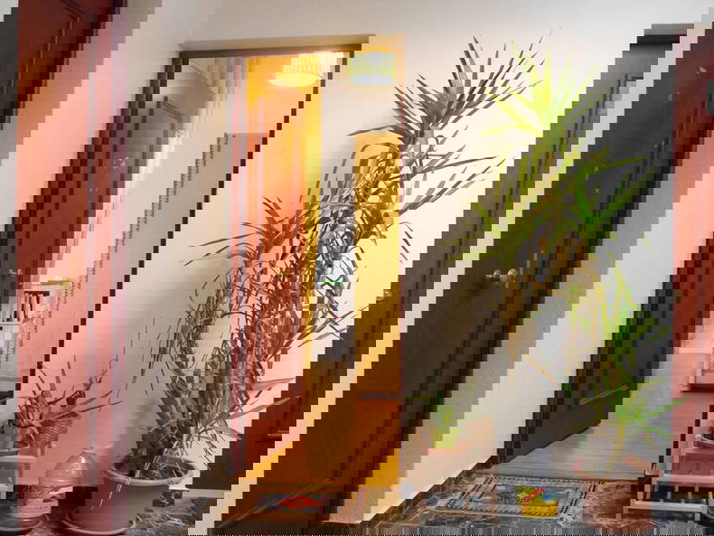 Tutta La Casa Genève 661849-2