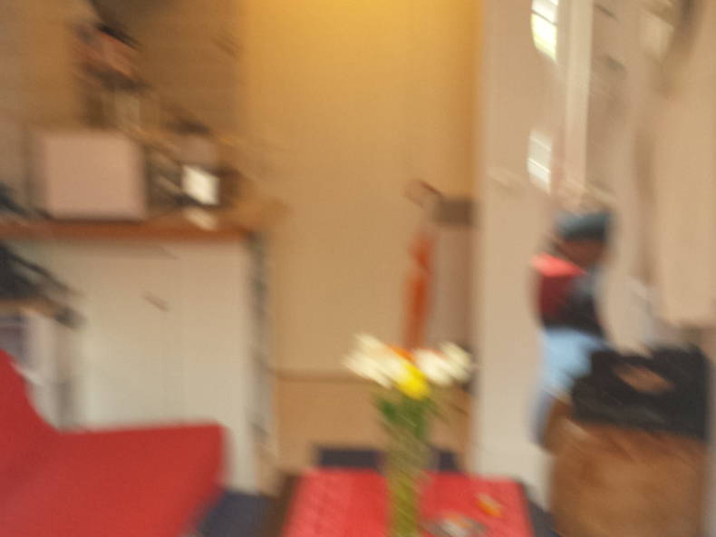 Toda La Casa Paris 100826-3