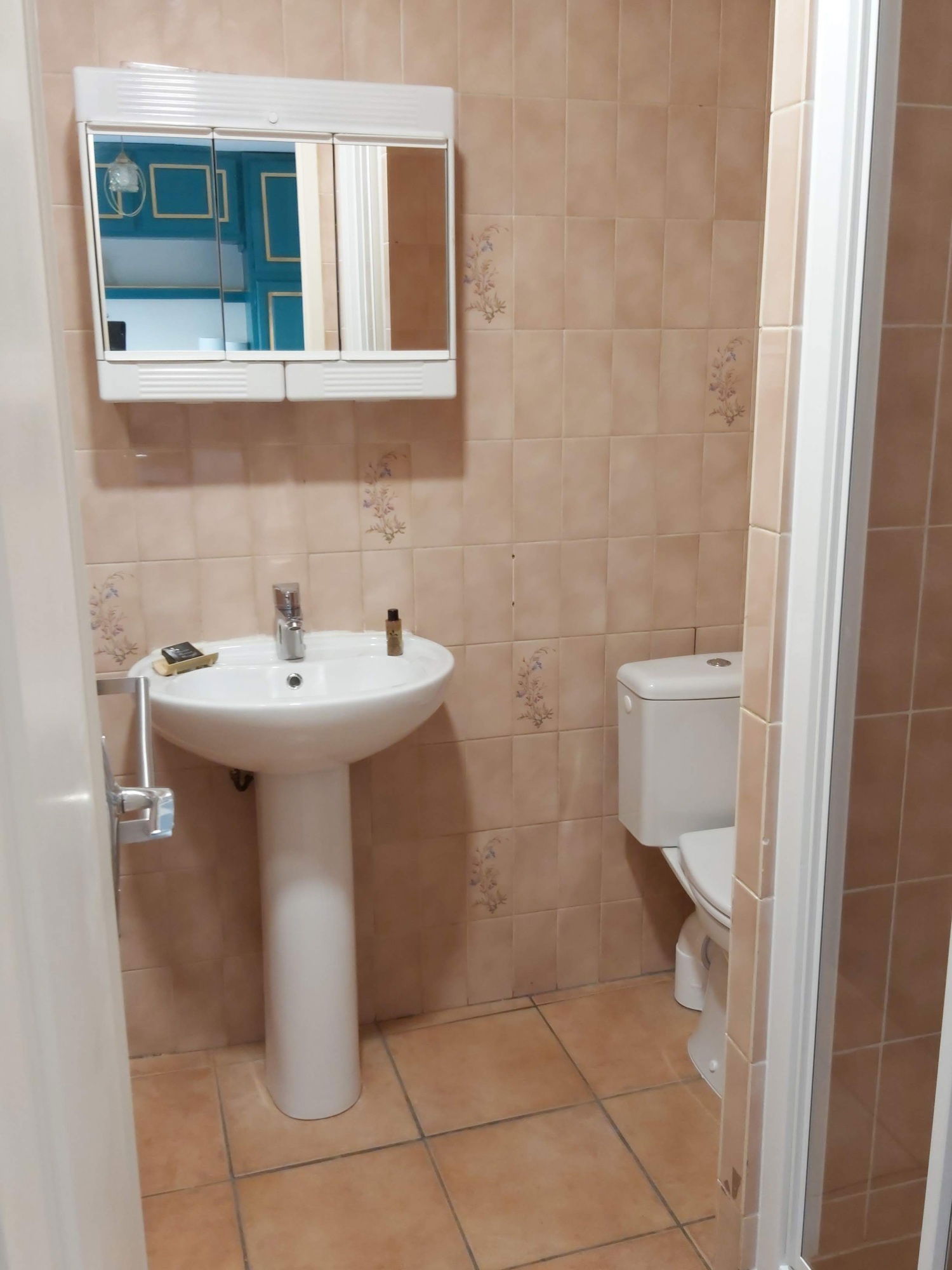 Onofhängeg Studio Vichy 304763