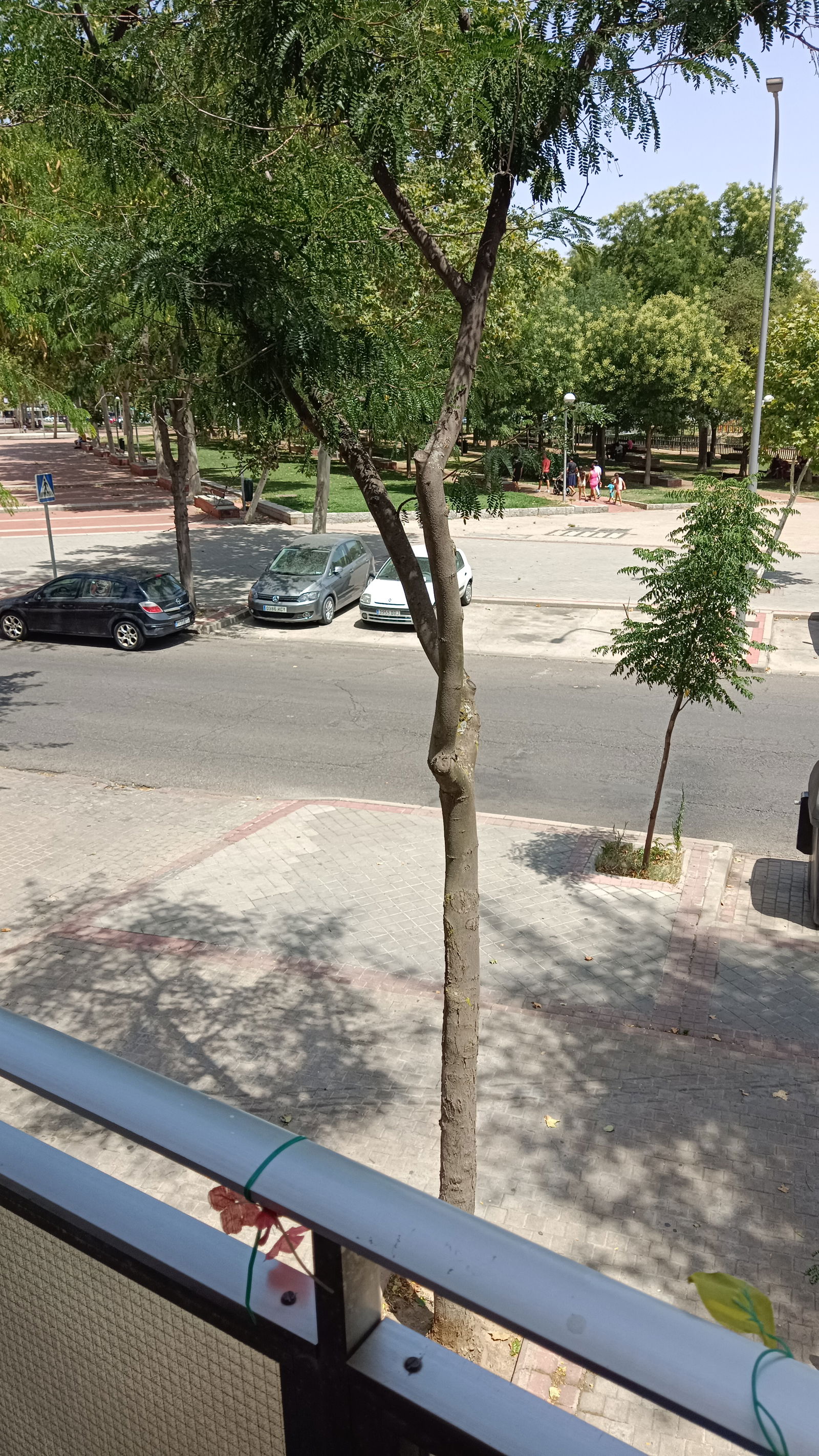 Hela Huset Madrid 257806