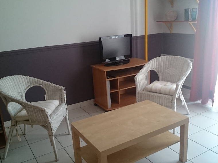 Homestay Lyon 48456