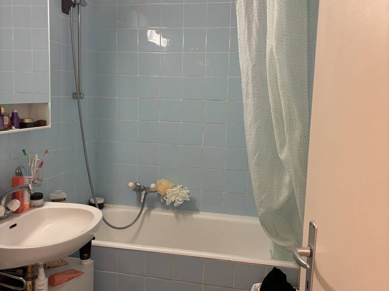 Logement Entier Carouge 668865-3