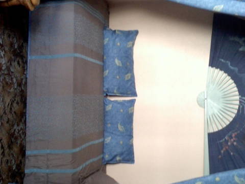 Chambre Chez L'habitant Tours 53012-1