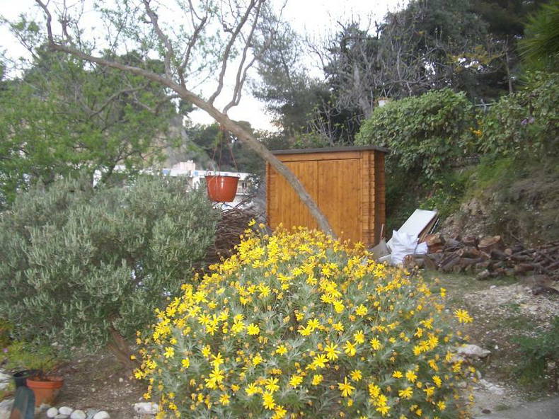 Homestay Nice 70511-3