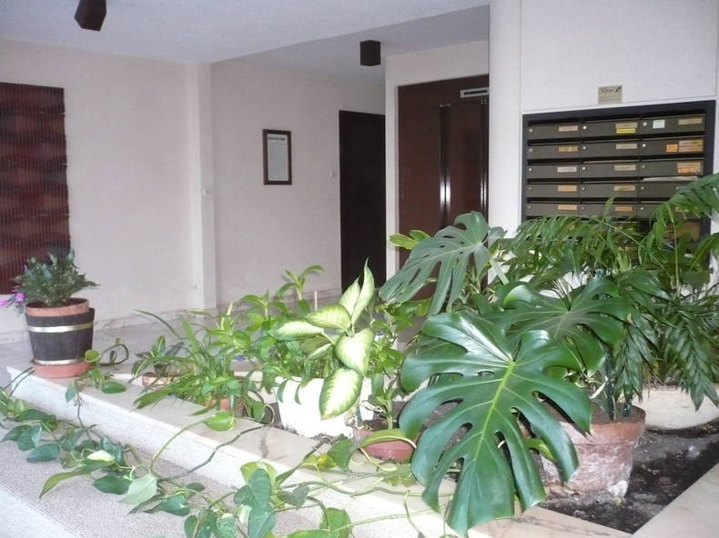 Toda La Casa Dijon 76349-3