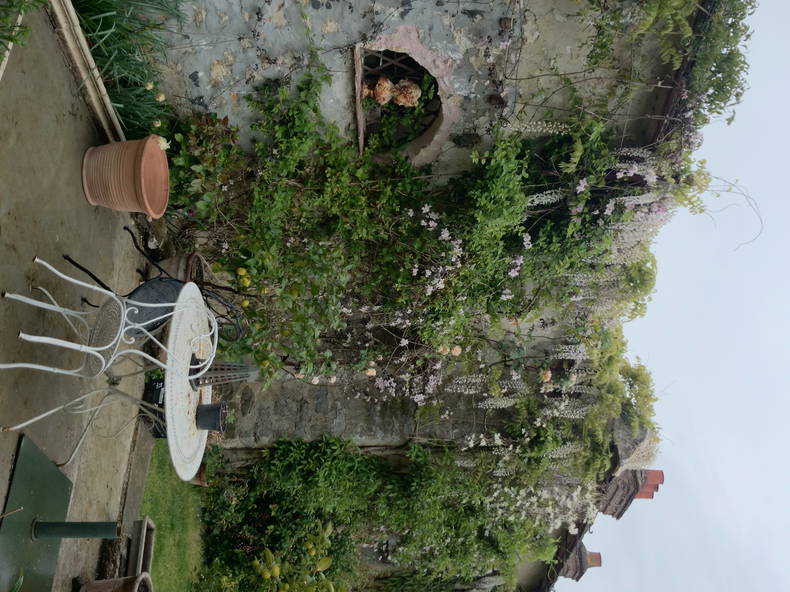 Gastfamilie Thomery 71659-2