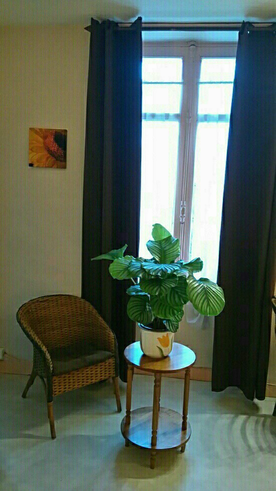 Oberoende Studio Nantes 112112