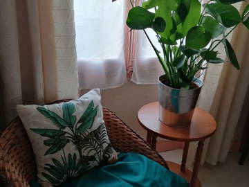 Toda la casa à louer à Nantes - otra habitación-4