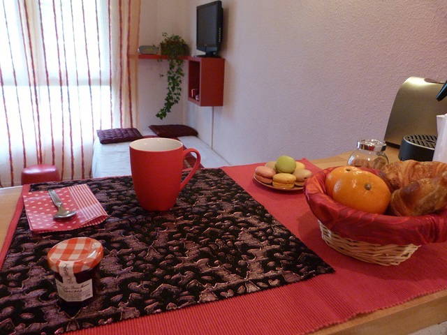 Homestay Lyon 48244