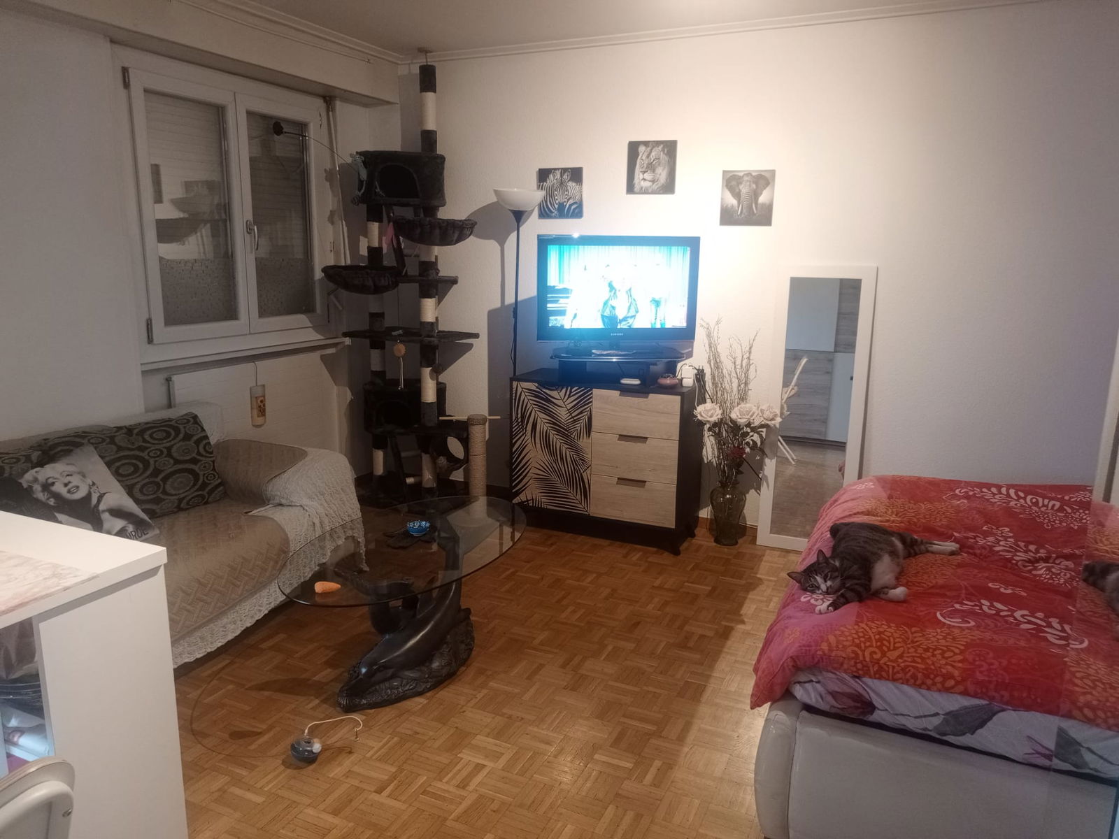 Unabhängiges Studio Romanel-sur-Lausanne 239755