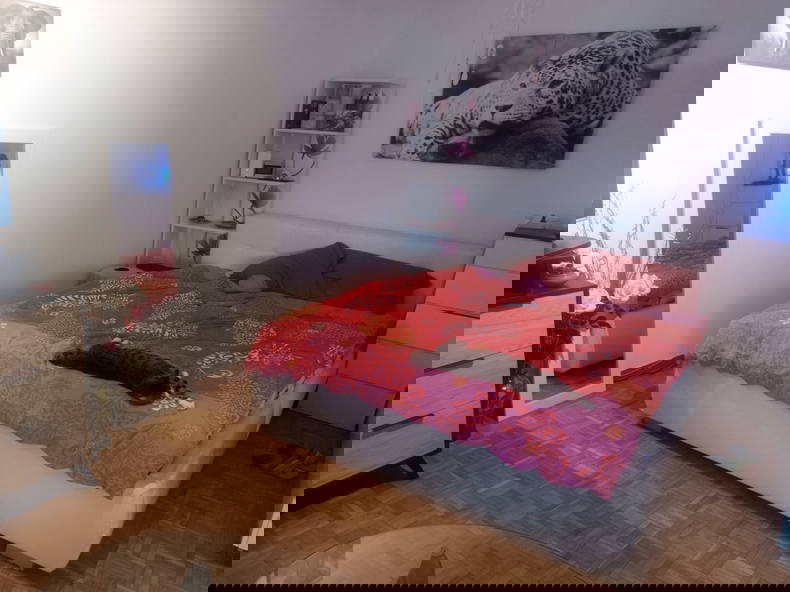 Entire Home Romanel-sur-Lausanne 239755-1