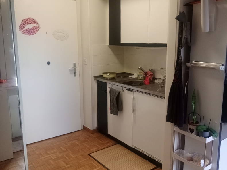 Entire Home Romanel-sur-Lausanne 239755-3