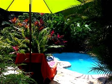 Roomlala | Studio Meublé Dans Jardin Tropical Avec Piscine