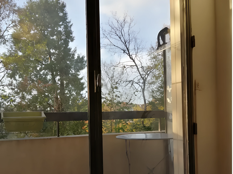 Toda La Casa Poitiers 537670-5