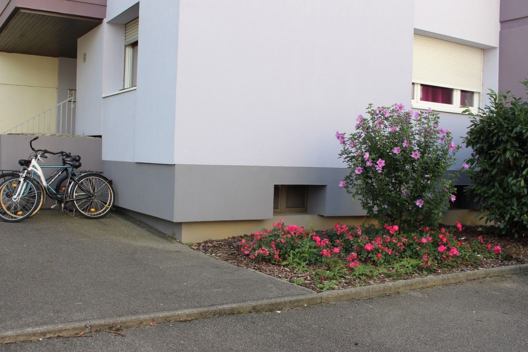 Logement Entier Saint-Louis 257816