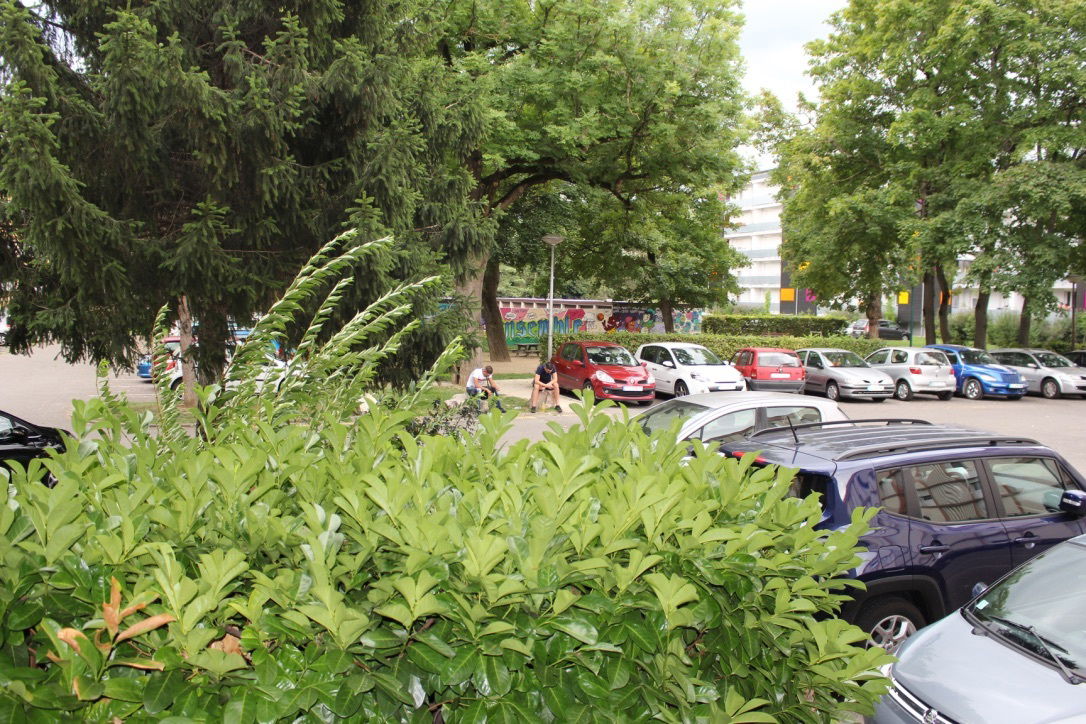 Ganzes Haus Saint-Louis 257816