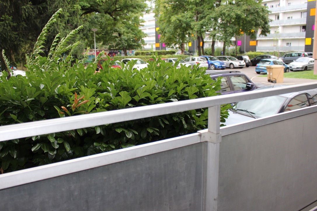 Ganzes Haus Saint-Louis 257816