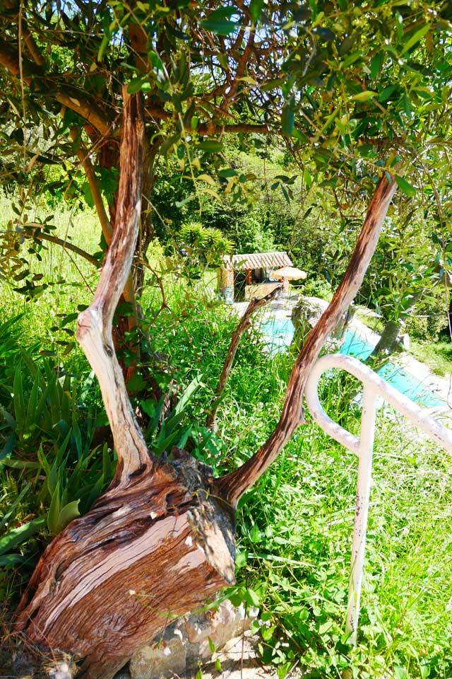 Unabhängiges Studio Carros 137004