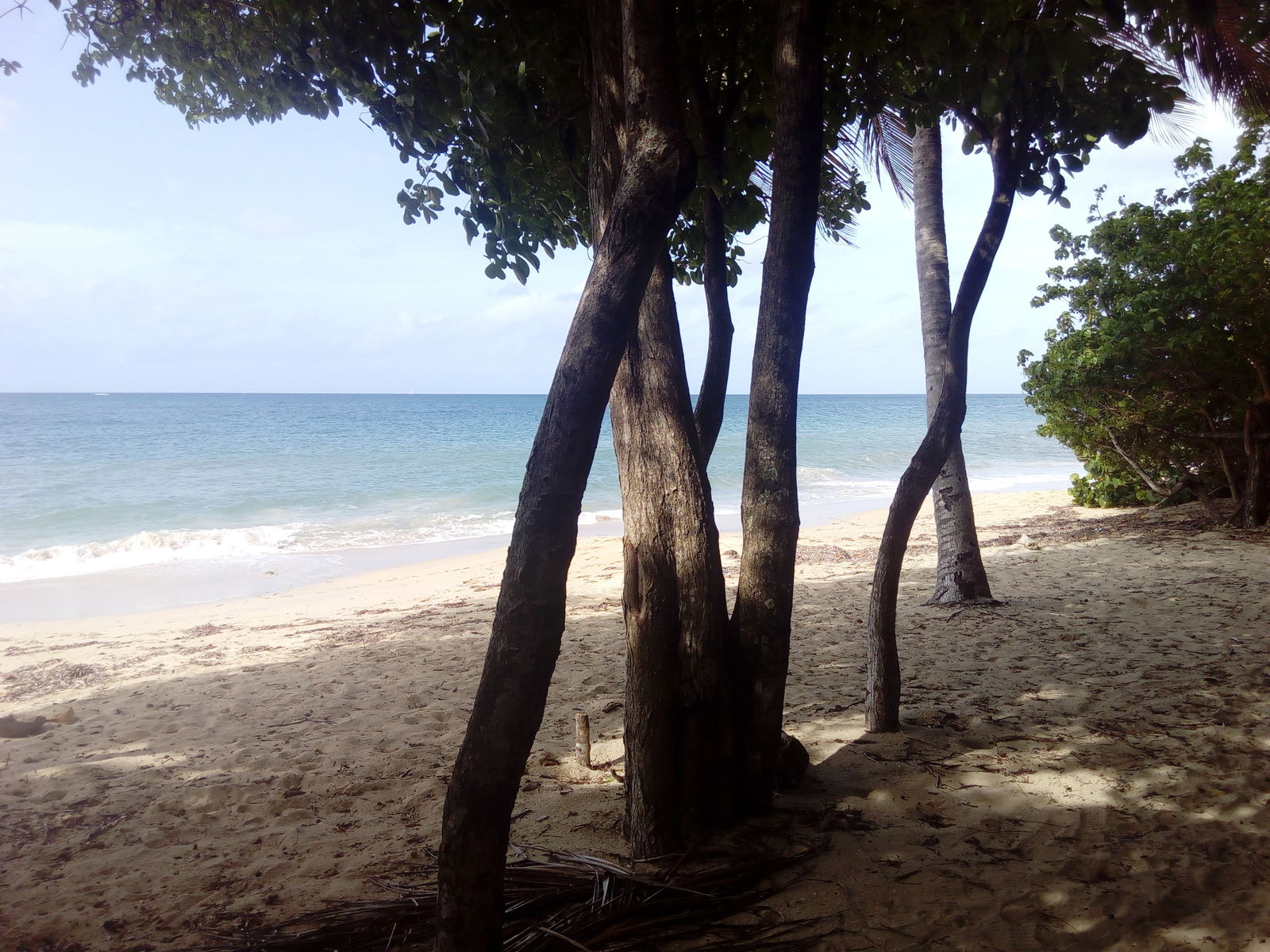 Unabhängiges Studio Sainte-Luce 194977