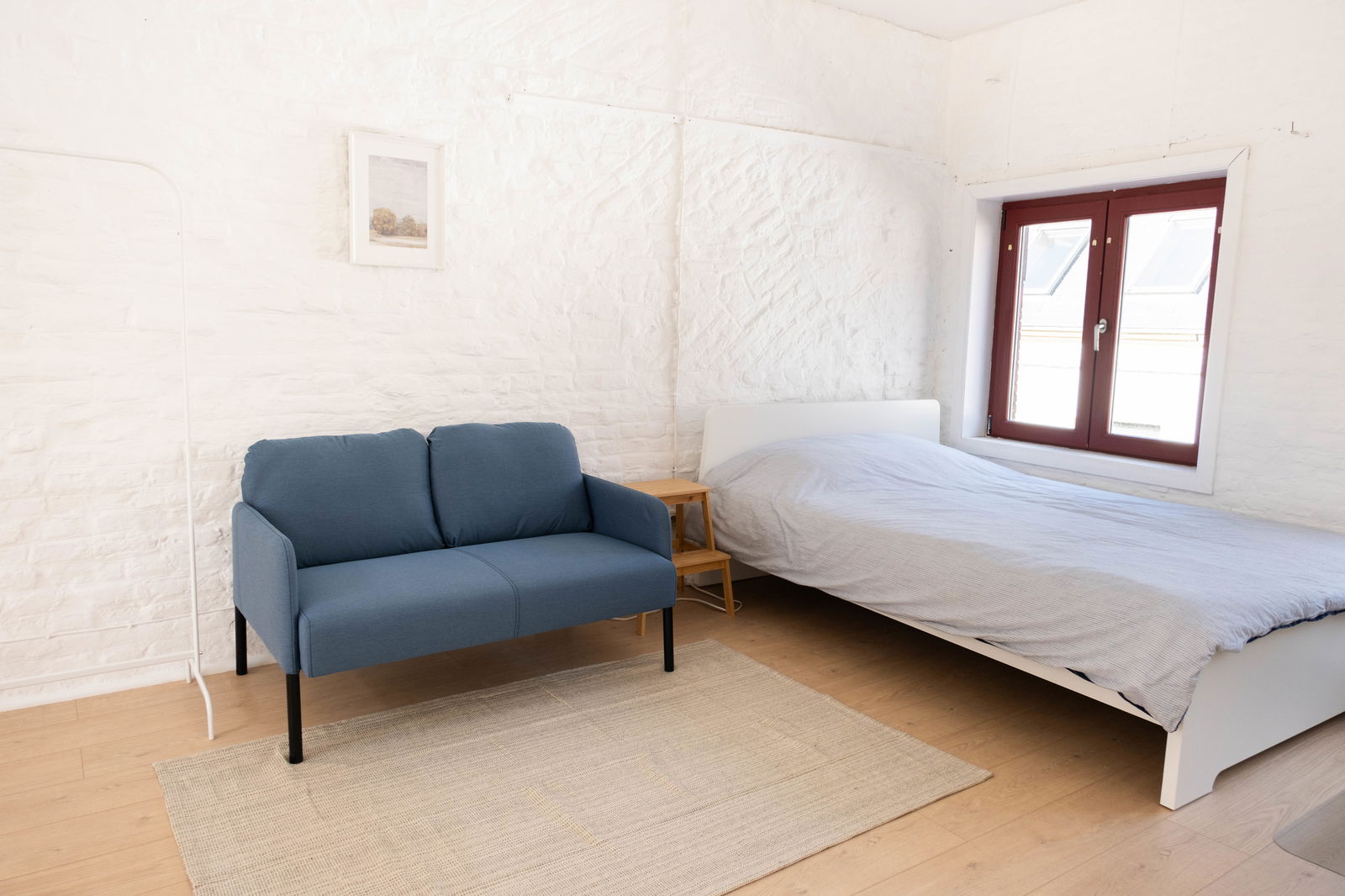 Kolokation Mons 296083