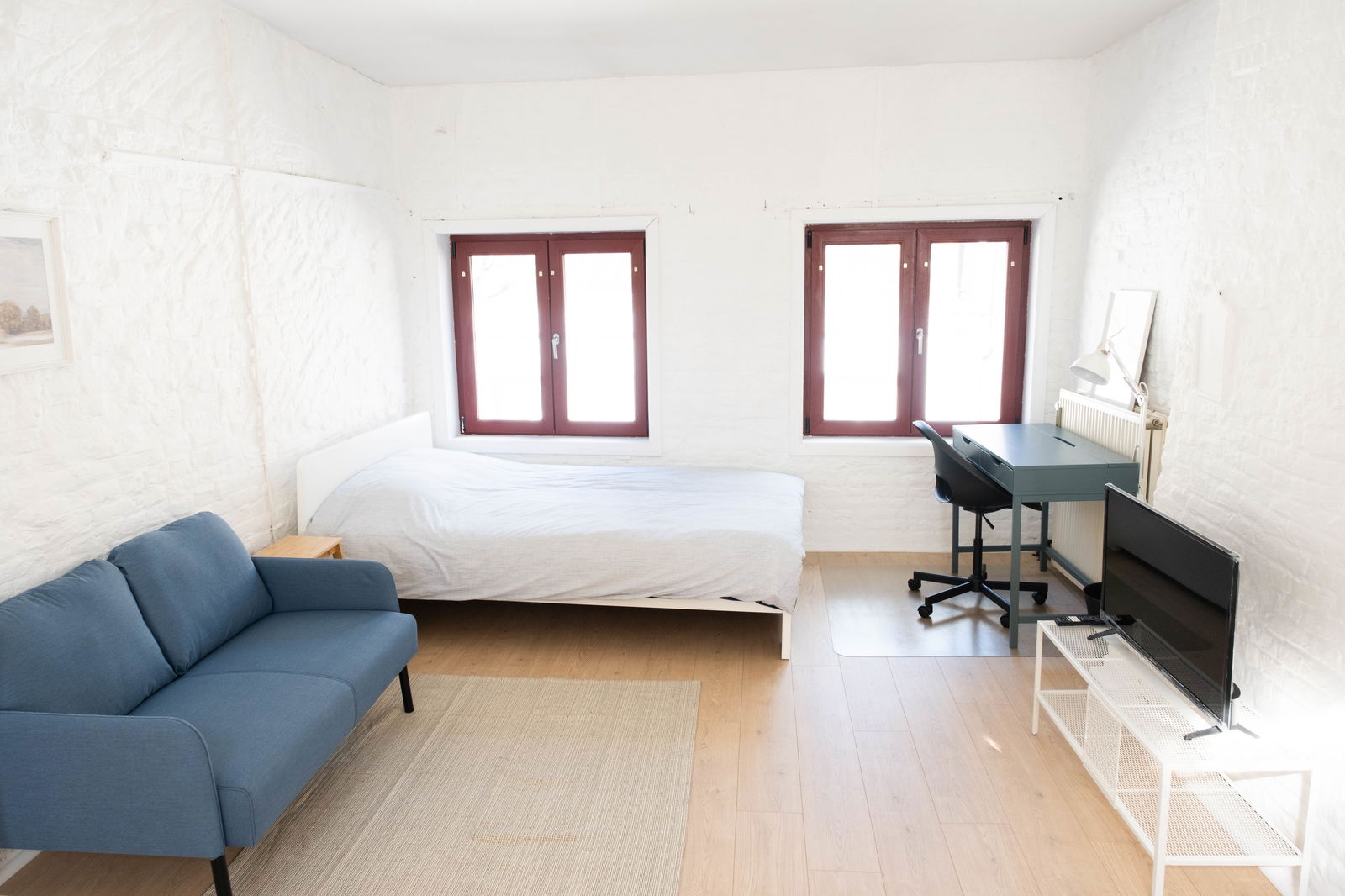 Kolokation Mons 296083